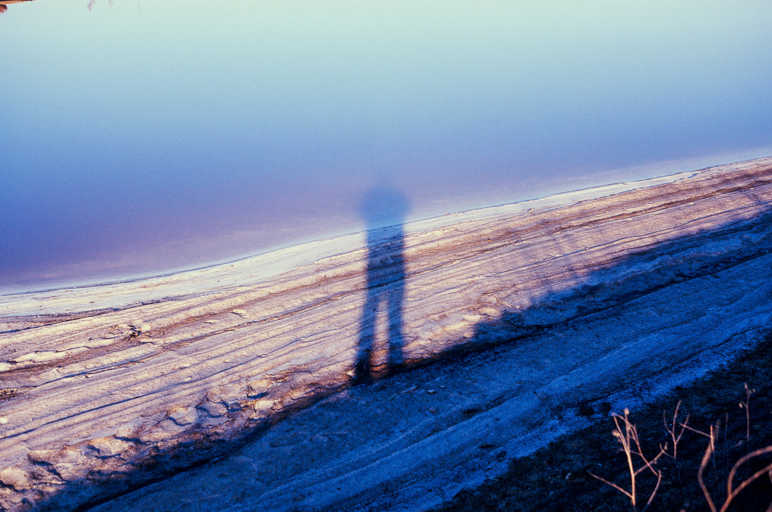 Salt Flats~ Alviso~ California